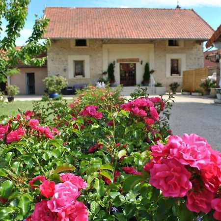 Bed and Breakfast La Besace Sainte-Croix  Exteriér fotografie